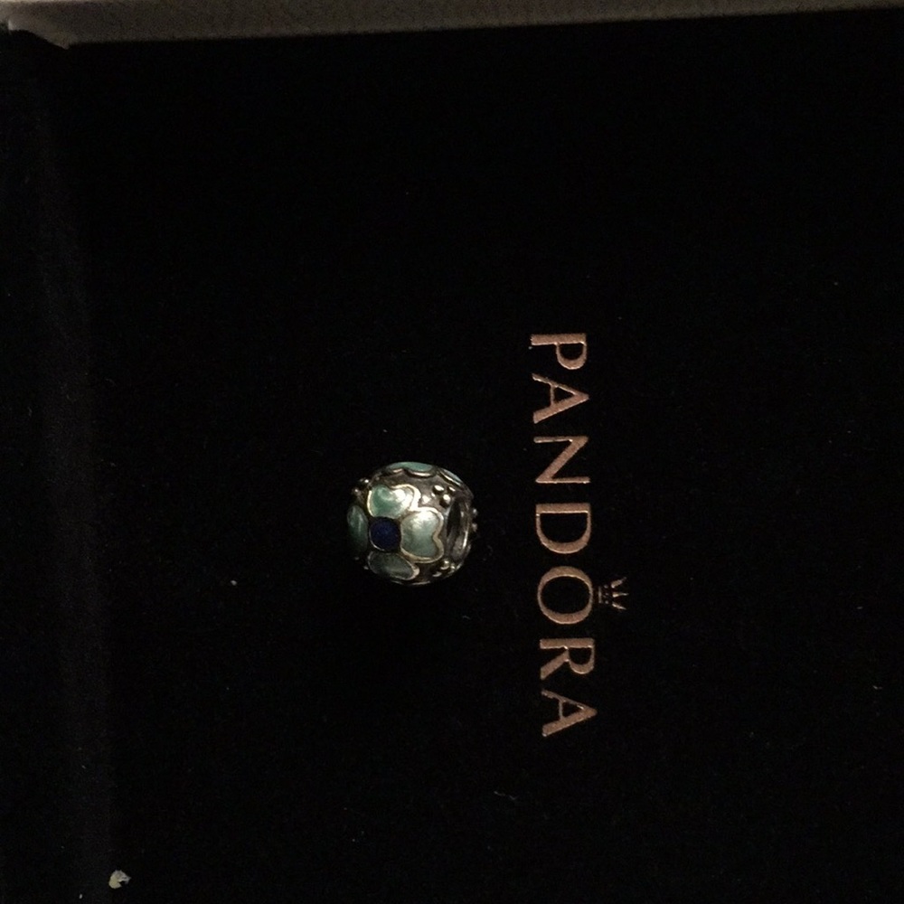 Pandora blue flower charm.